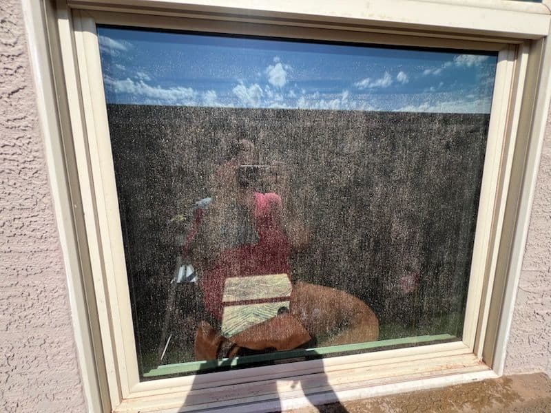 Gallery photos for Sparkling Window Transformation in San Tan Valley: Image #1