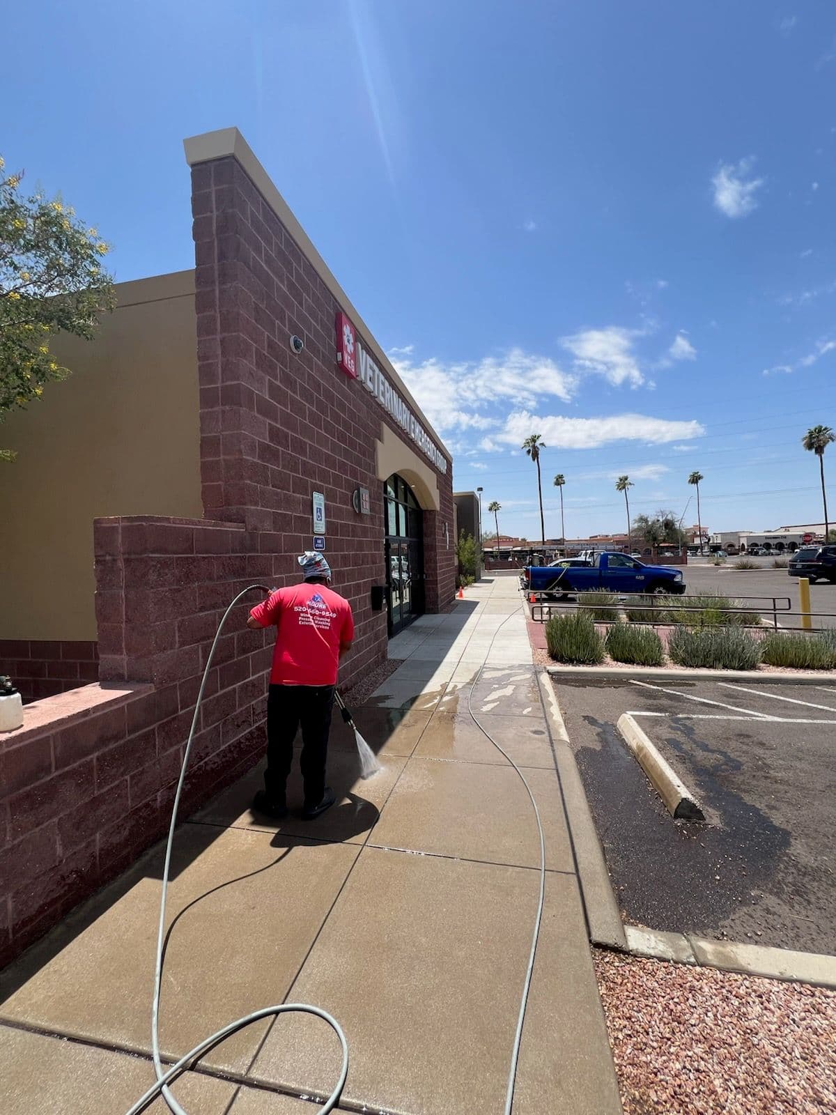 Project Sparkling Walkways for Veterinary Guests image