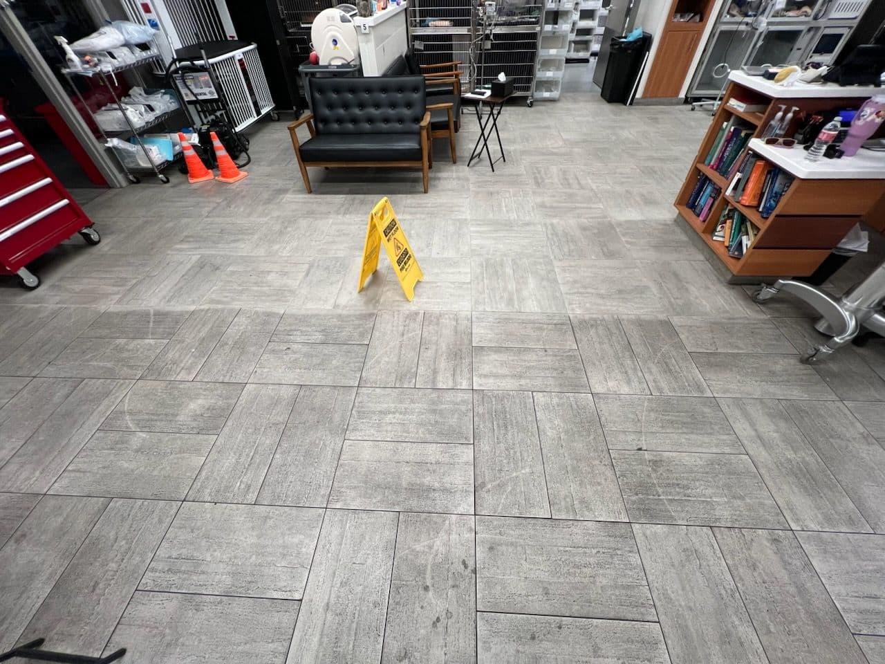 Sparkling Clean for Pet Safety at Vet Clinics image