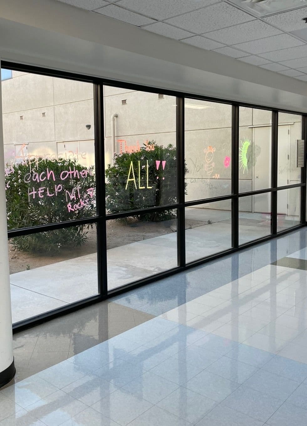 Transform Your View with Pristine Window Care image