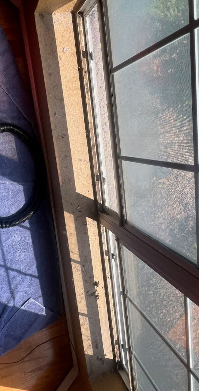 Transform Your Home with Pristine Window Care in Gilbert image
