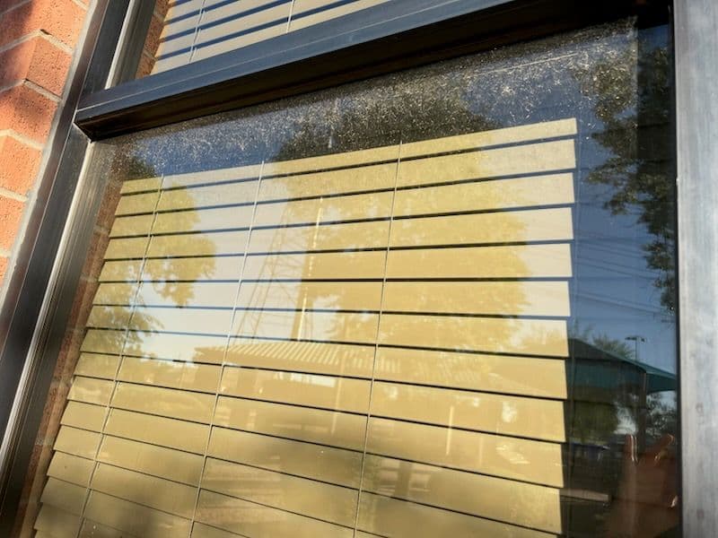 Gallery photos for Sparkling Clean: Restored Window Views: Image #1